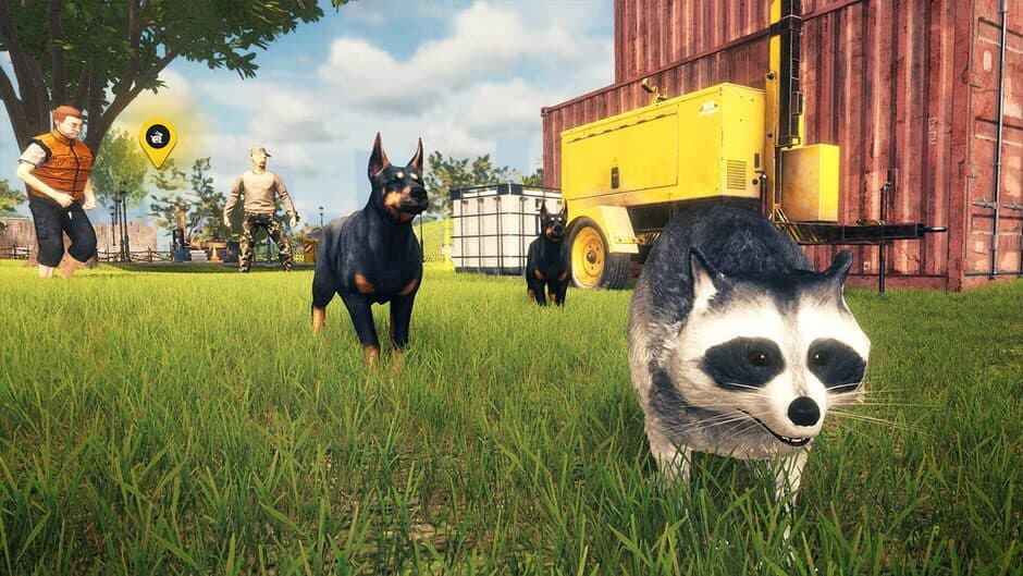 Raccoon Survival Simulator screenshot 6