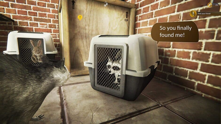 Raccoon Survival Simulator screenshot 7