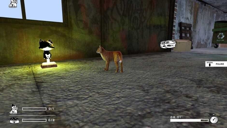Tinny Strays