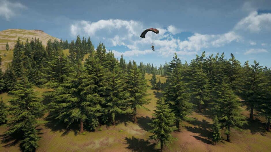Flight Simulator 2026 Collection screenshot 5