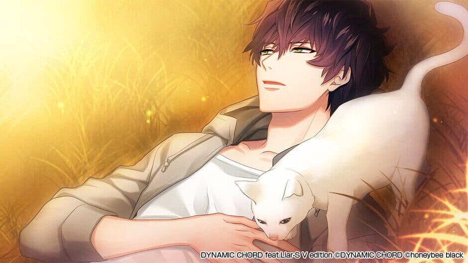 Dynamic Chord feat. Liar-S: V Edition screenshot 4