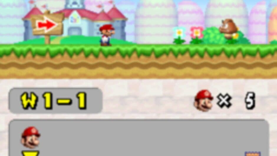 New Super Mario Bros. Wii DS