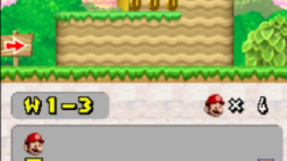 New Super Mario Bros. Wii DS screenshot 3
