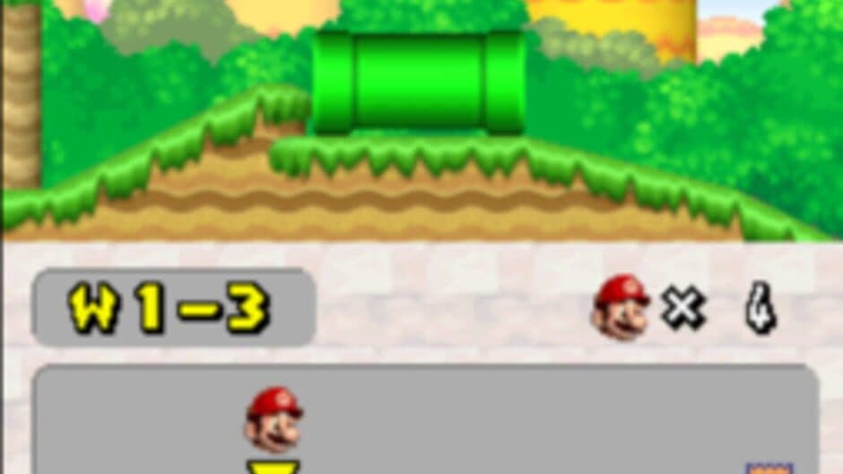 New Super Mario Bros. Wii DS screenshot 4