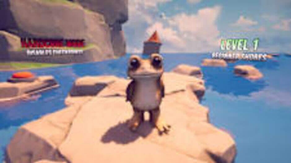 Frog Parkour Obby