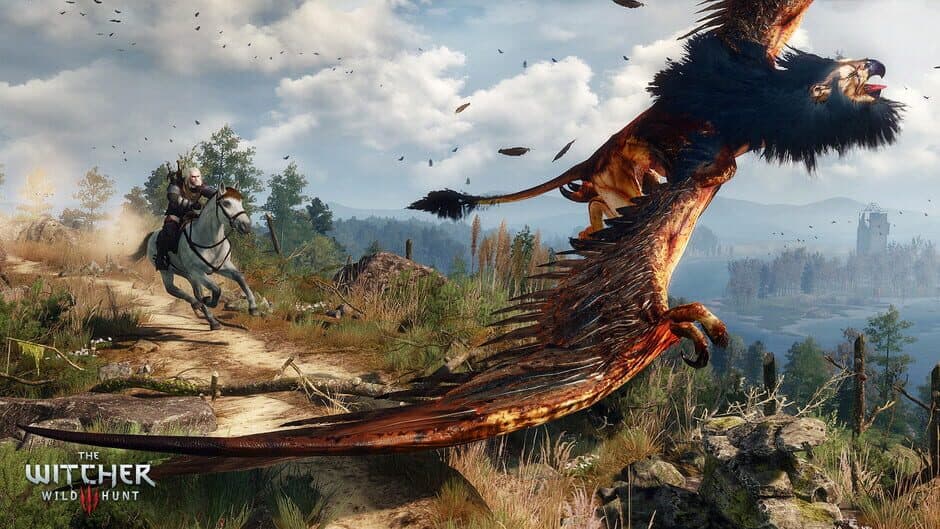The Witcher 3: Wild Hunt screenshot 9